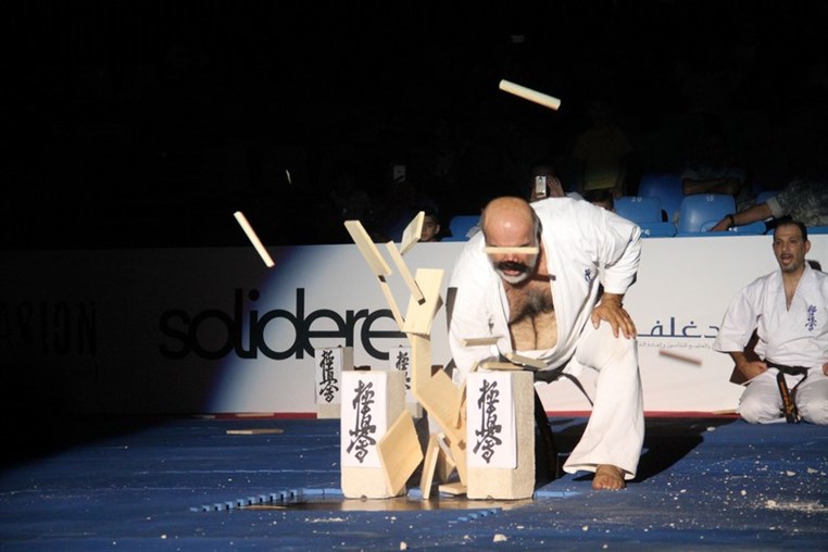 Martial Arts Festival
